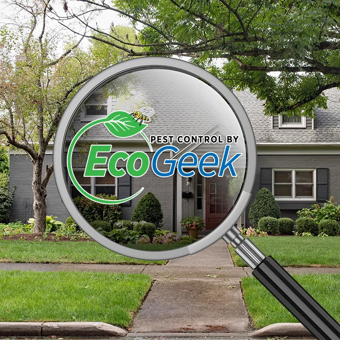Eastham Town Pest Control Near Me