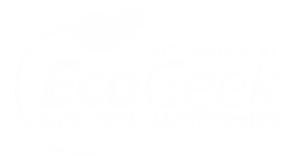 termite control Eastham ma